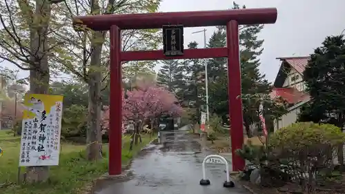 多賀神社の鳥居
