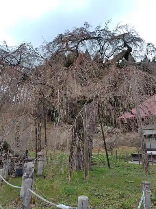 永泉寺(福島県)