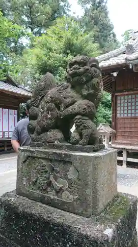 下野 星宮神社の狛犬