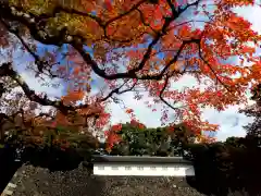 明治神宮(東京都)