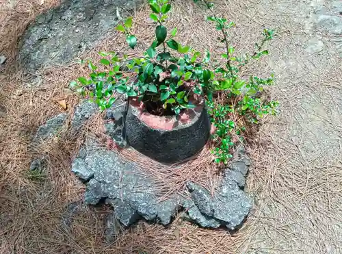 天照神社のその他建物