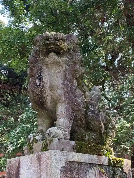 春日大社(奈良県)