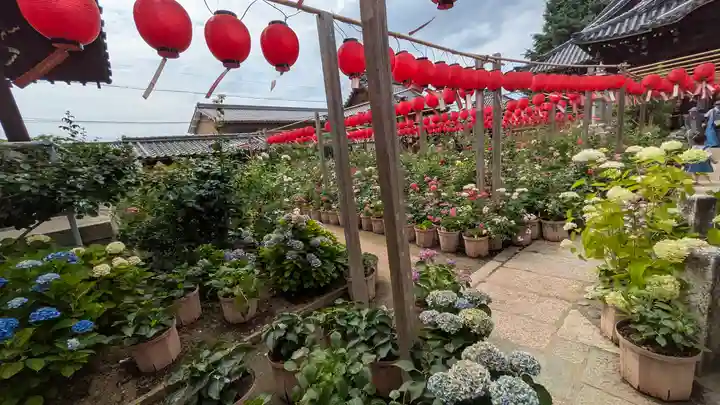 おふさ観音(観音寺)(奈良県)