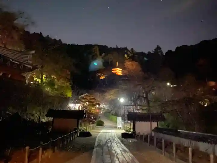 長谷寺(奈良県)