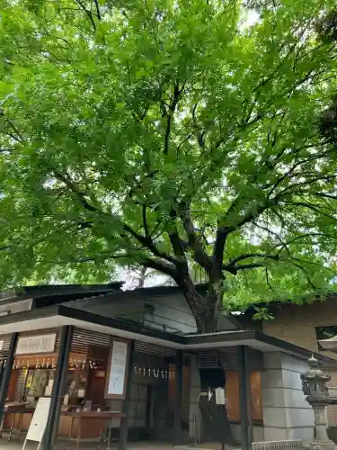 乃木神社(東京都)