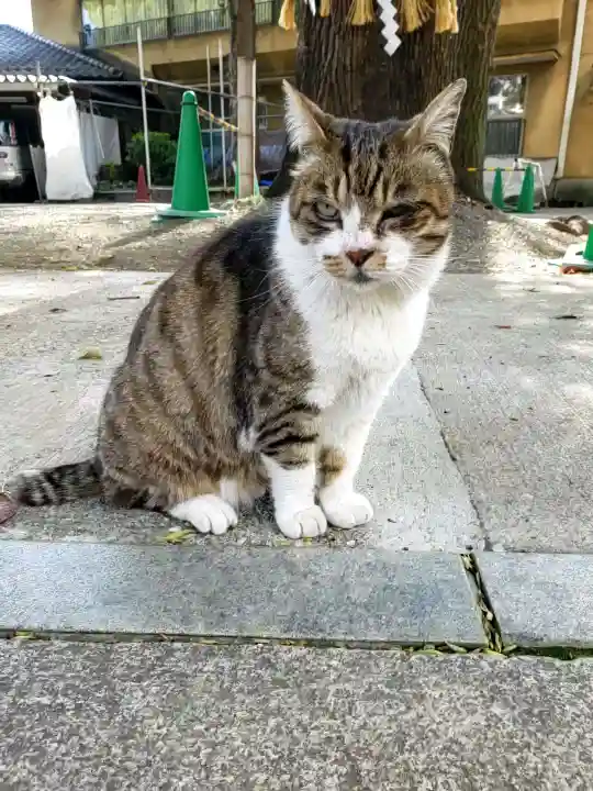 荻窪白山神社(東京都)