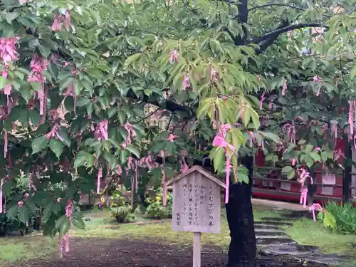 桜神宮のその他建物