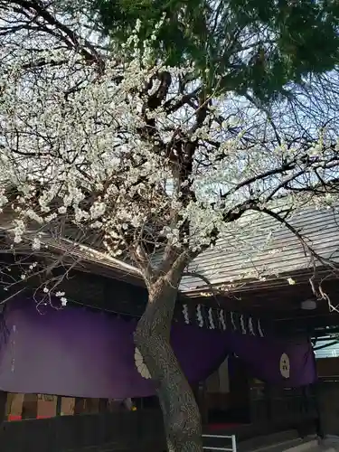 猿田彦神社の自然