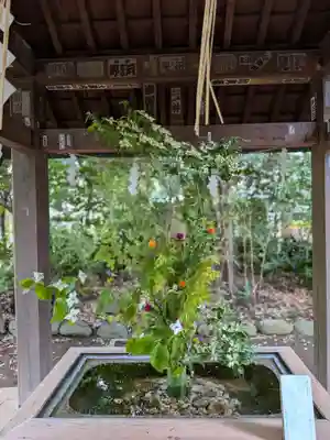 赤坂氷川神社(東京都)