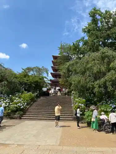 本土寺(千葉県)
