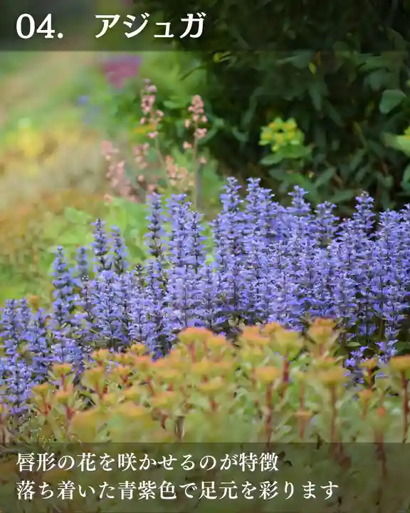 宝光寺(北海道)