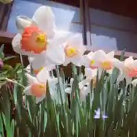 豊景神社の自然