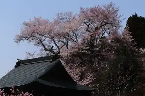 曹洞宗 永松山 龍泉寺の自然
