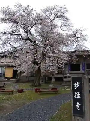 妙経寺(福井県)