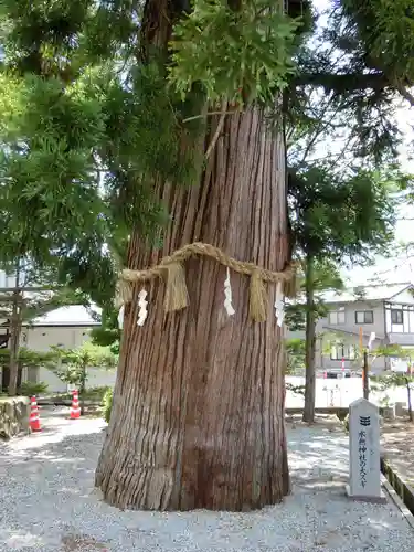 飛騨一宮水無神社の自然