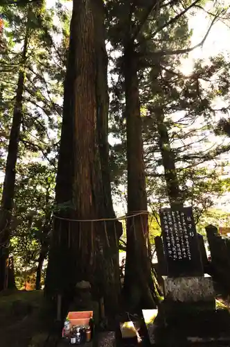 諭鶴羽神社(兵庫県)