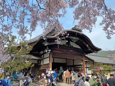 三宝院(三宝院門跡)の本殿・本堂