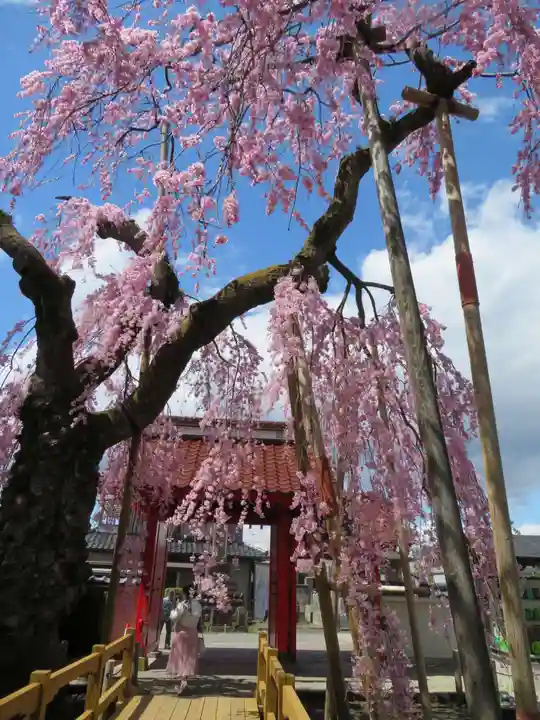 妙関寺(福島県)
