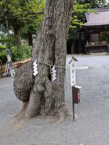 七社神社(東京都)