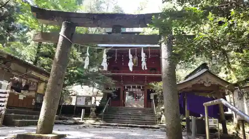 花園神社の鳥居