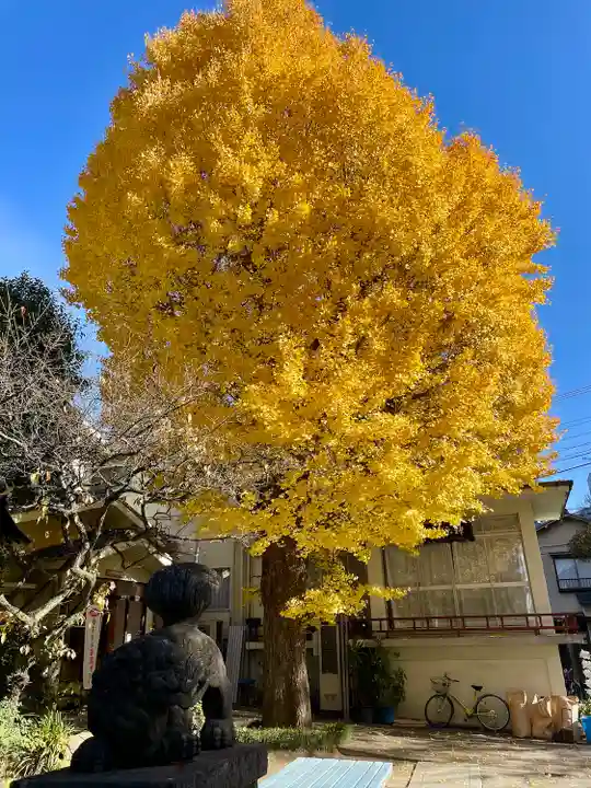 千住本氷川神社(東京都)