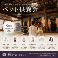 かっぱの寺 栖足寺(静岡県)