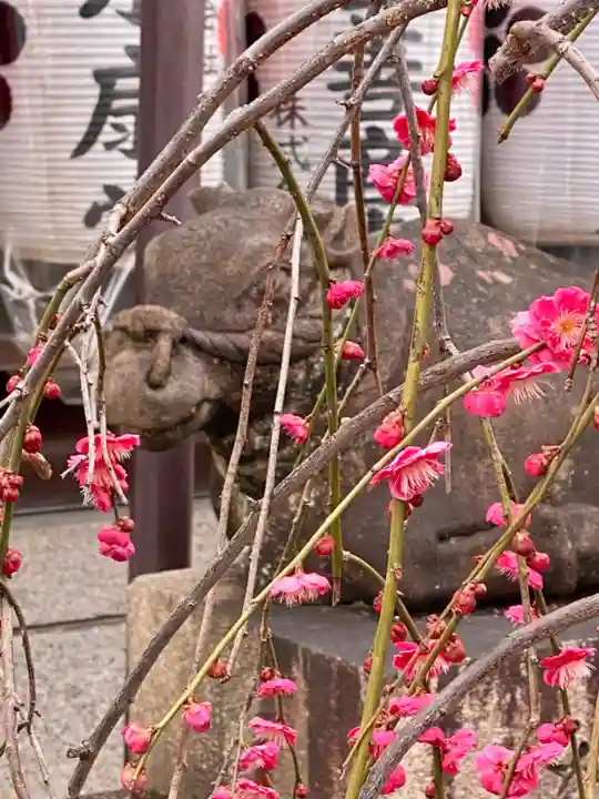 文子天満宮の自然