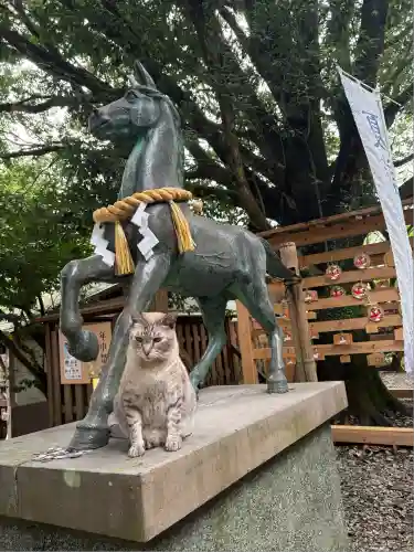 白鬚神社(宮崎県)