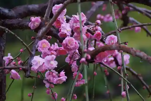 城南宮(京都府)