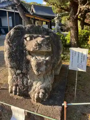 京都乃木神社の狛犬