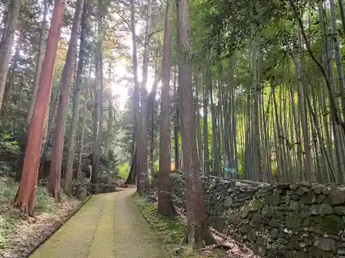 慧日寺(兵庫県)