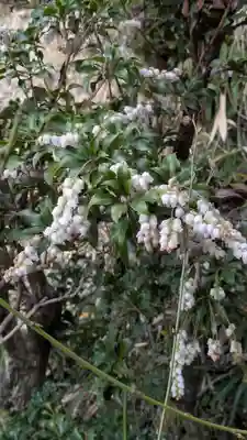 惠心院（恵心院）(京都府)