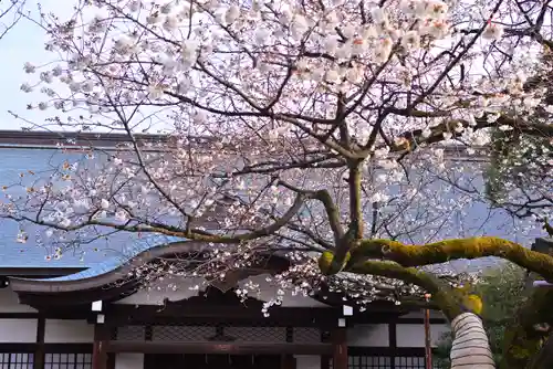靖國神社(東京都)