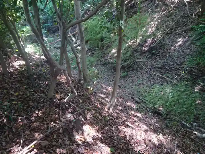 幸稲荷神社の自然