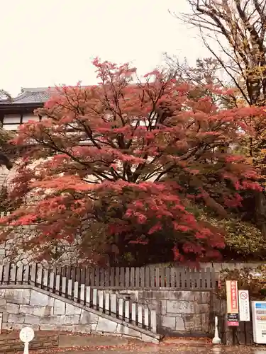 楽法寺（雨引観音）の自然