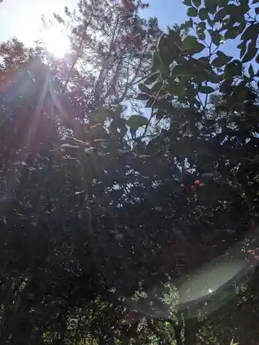 椿大神社(三重県)