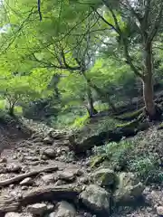 大山阿夫利神社本社(神奈川県)