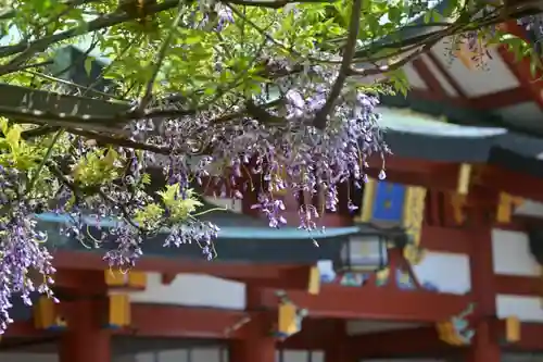 日枝神社のその他建物