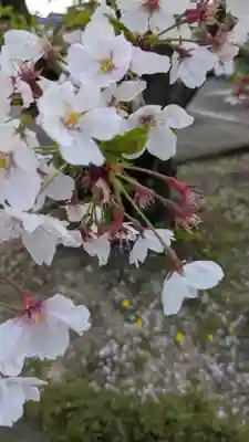 月心寺(愛知県)