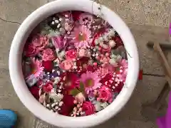 徳島眉山天神社の手水