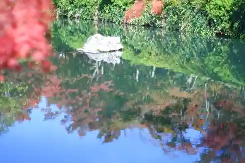 禅林寺（永観堂）(京都府)