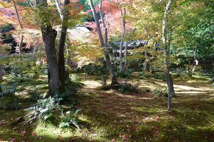 祇王寺(京都府)