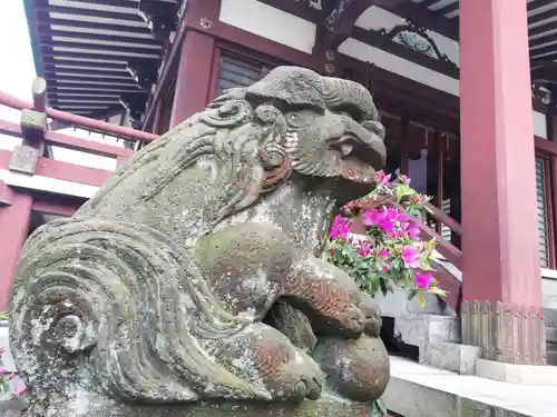 柏神社の狛犬