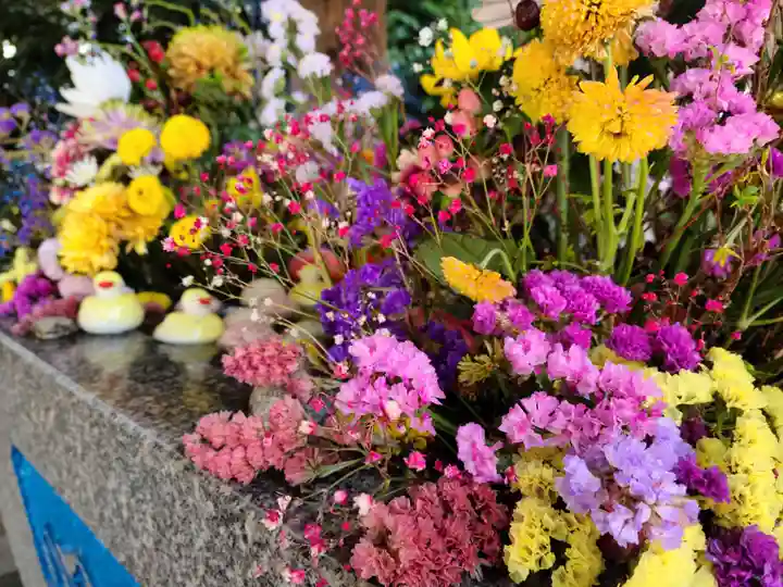 滑川神社 - 仕事と子どもの守り神の手水舎