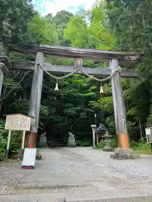 戸隠神社宝光社の鳥居