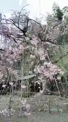 平野神社の庭園