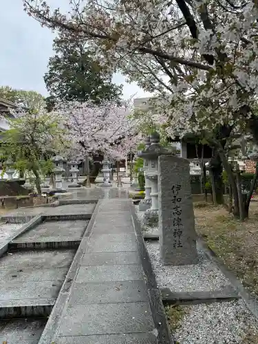 伊和志津神社の{uncategorized: "未分類", other: "その他", undefined: "問題あり", building: "その他建物", grave: "お墓", sacred_gate: "鳥居", guardian: "狛犬", statue: "像", buddha: "仏像", history: "歴史", nature: "自然", garden: "庭園", animal: "動物", pagoda: "塔", temizu: "手水舎", mountain_gate: "山門・神門", sanctuary: "本殿・本堂", subordinate: "末社・摂社", art: "芸術", scenery: "景色", jizo: "地蔵", ema: "絵馬", goshuin: "御朱印", omikuji: "おみくじ", items: "授与品その他", amulet: "お守り", goshuincho: "御朱印帳", eats: "食事", festival: "お祭り", votive_dance: "神楽", shichigosan: "七五三参", wedding: "結婚式", experience: "体験その他", initially: "初詣", around: "周辺", anti_infection: "感染症対策"}