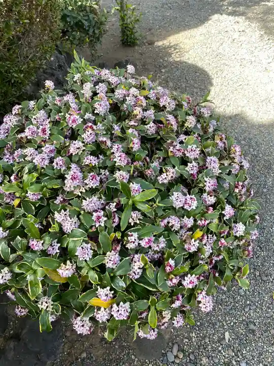 八坂神社(群馬県)