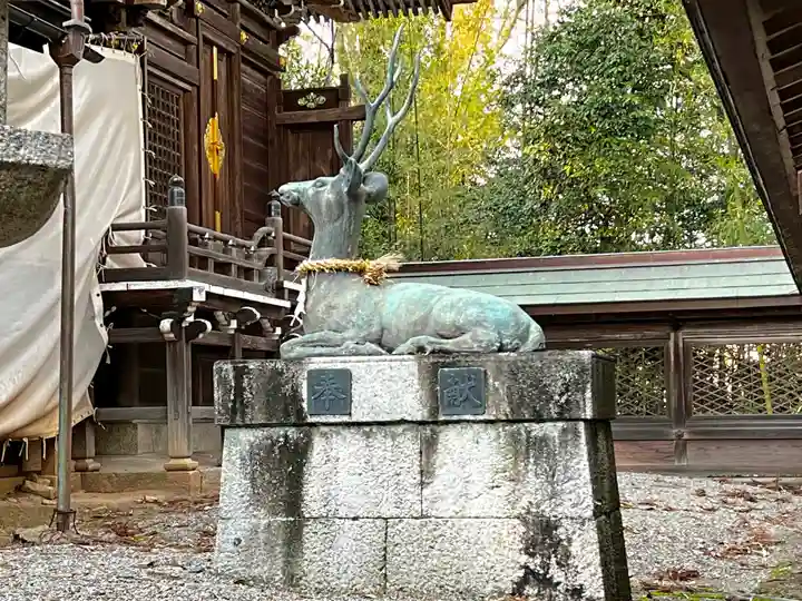 阿自岐神社の狛犬