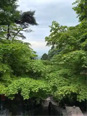 大山寺(神奈川県)